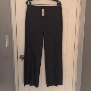 Ann Taylor Loft dress pants